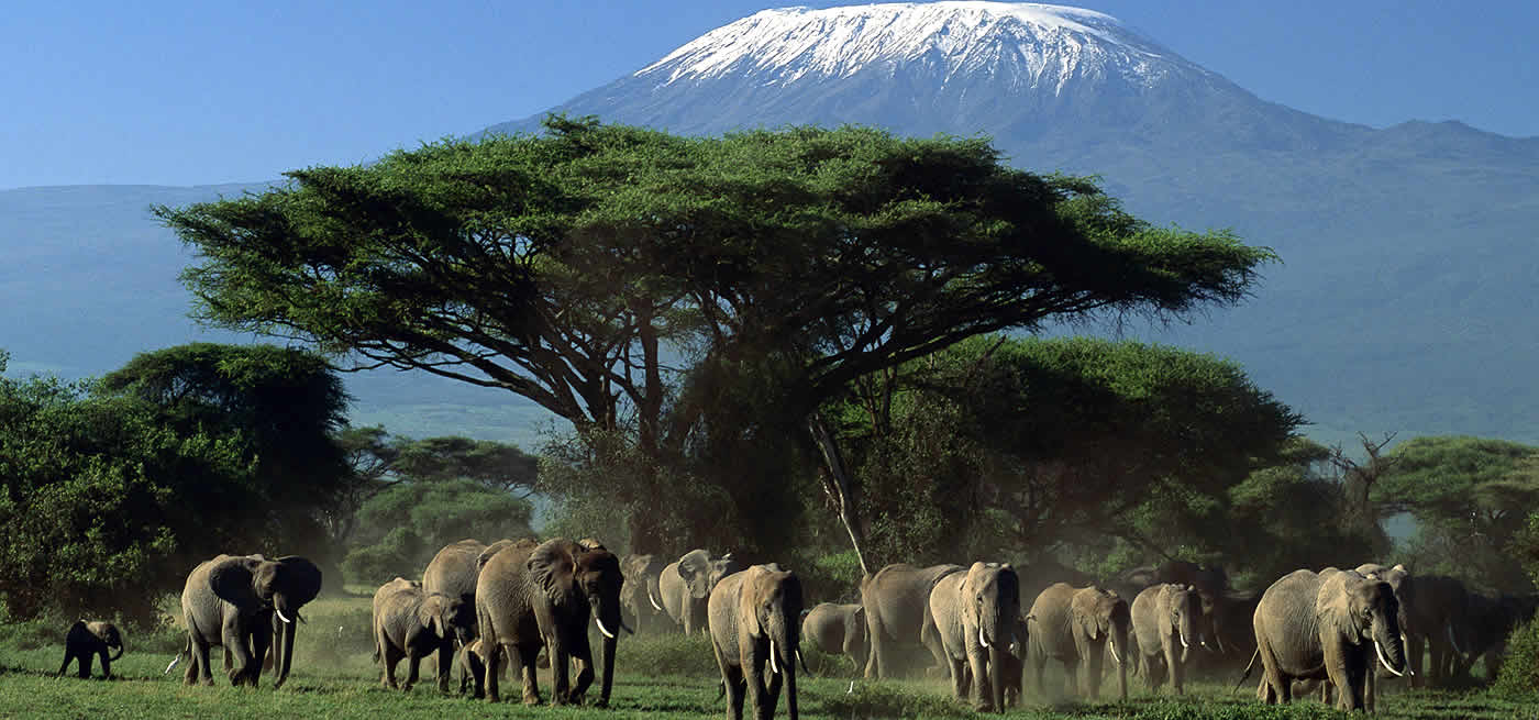 Masai Mara