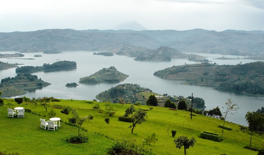 pupular image