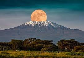 Serengeti